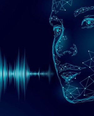 High speed door voice assistance via the GS Doors (Giesse) blu. app